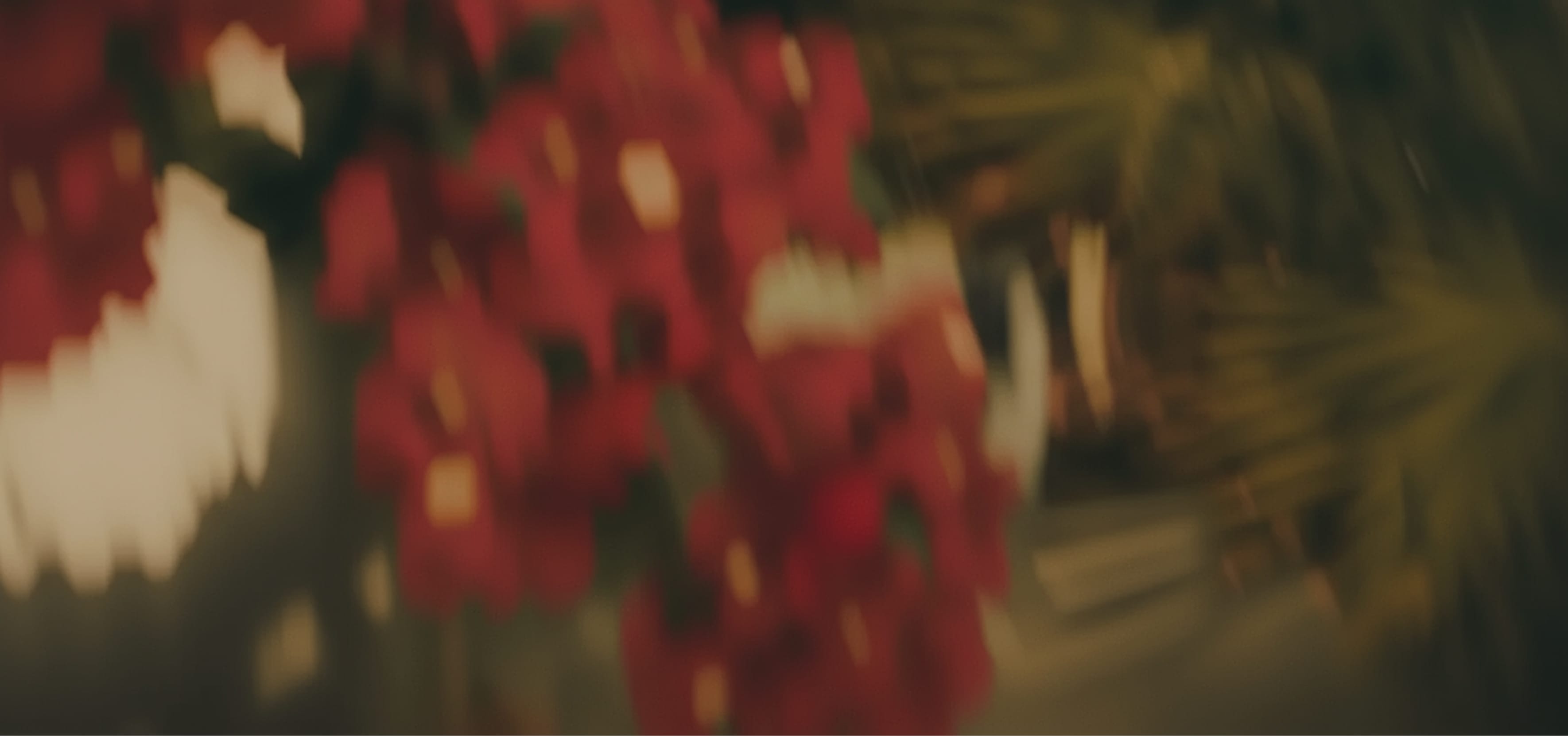 K.DUDA Studio background